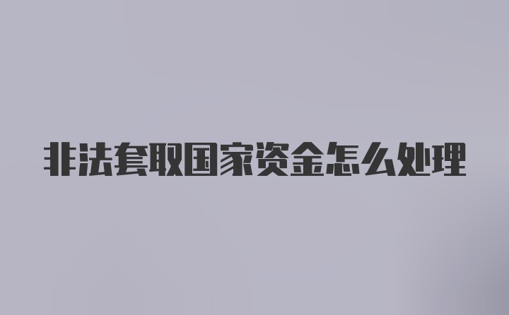 非法套取国家资金怎么处理