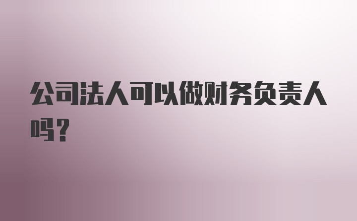 公司法人可以做财务负责人吗？