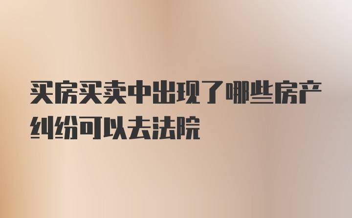 买房买卖中出现了哪些房产纠纷可以去法院