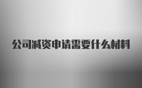 公司减资申请需要什么材料