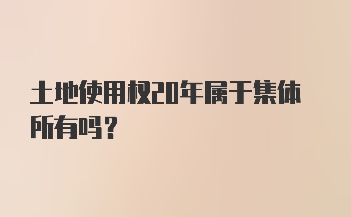 土地使用权20年属于集体所有吗？