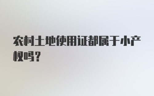 农村土地使用证都属于小产权吗？