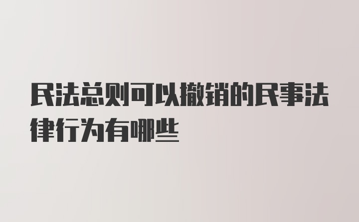 民法总则可以撤销的民事法律行为有哪些