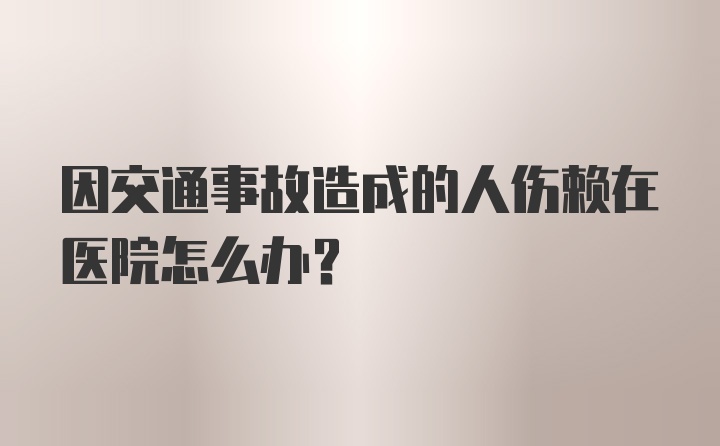 因交通事故造成的人伤赖在医院怎么办?