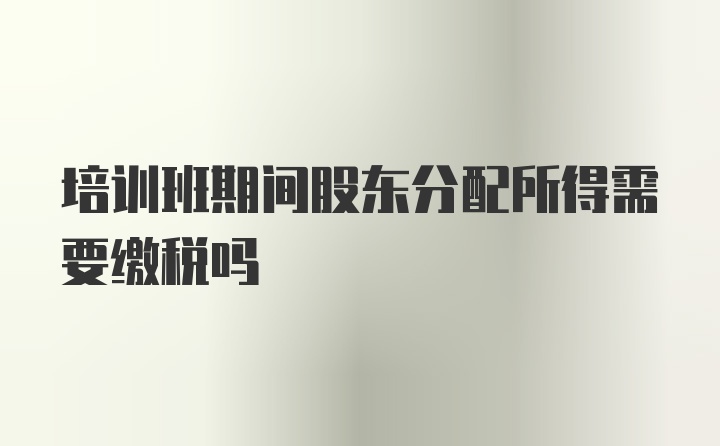 培训班期间股东分配所得需要缴税吗