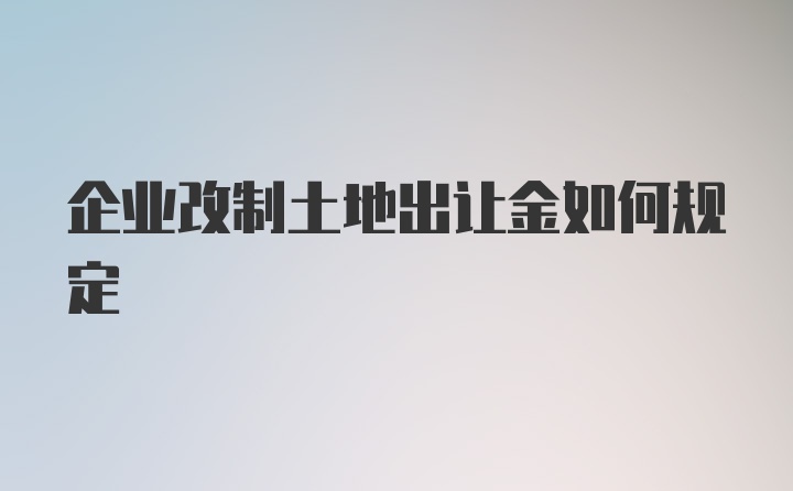 企业改制土地出让金如何规定