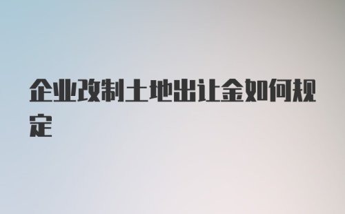 企业改制土地出让金如何规定