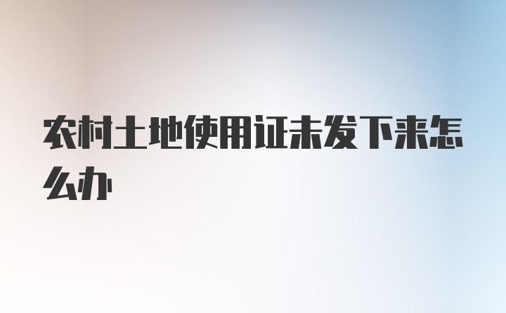 农村土地使用证未发下来怎么办