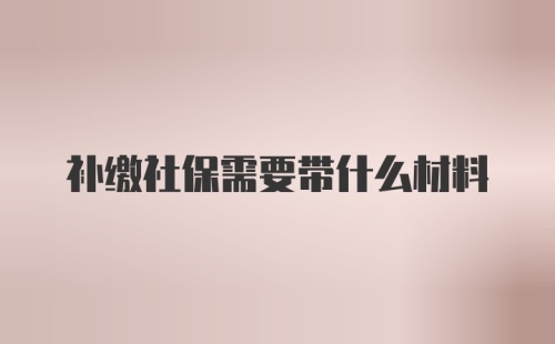 补缴社保需要带什么材料