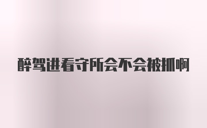 醉驾进看守所会不会被抓啊