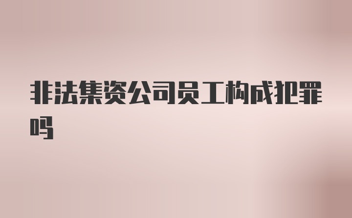 非法集资公司员工构成犯罪吗