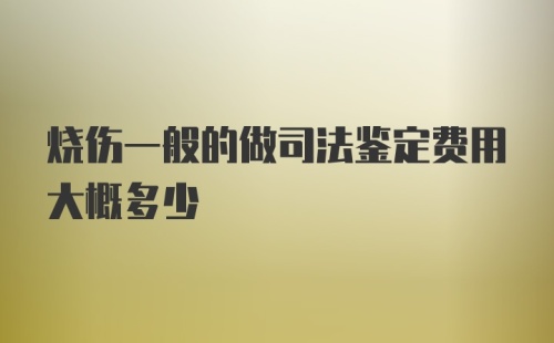 烧伤一般的做司法鉴定费用大概多少