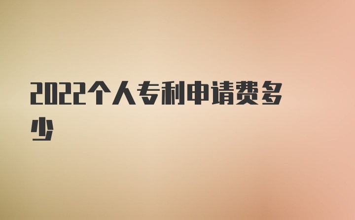 2022个人专利申请费多少