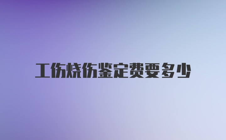 工伤烧伤鉴定费要多少