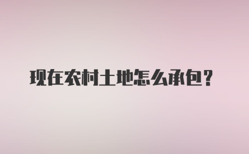 现在农村土地怎么承包?