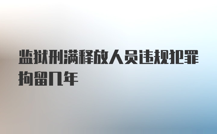 监狱刑满释放人员违规犯罪拘留几年