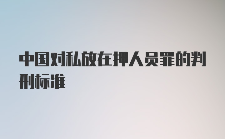 中国对私放在押人员罪的判刑标准