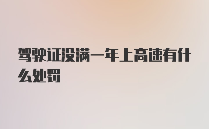 驾驶证没满一年上高速有什么处罚