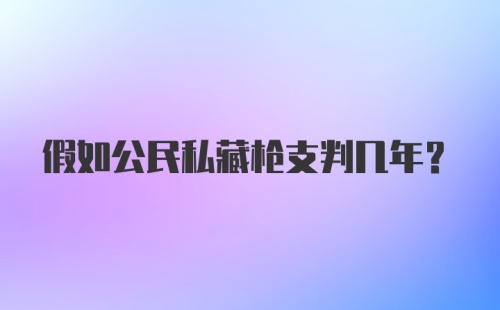 假如公民私藏枪支判几年？