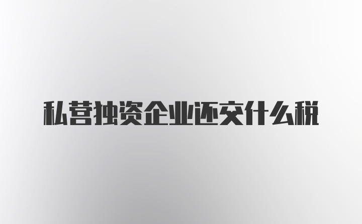 私营独资企业还交什么税