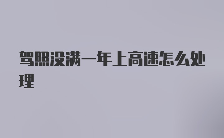 驾照没满一年上高速怎么处理