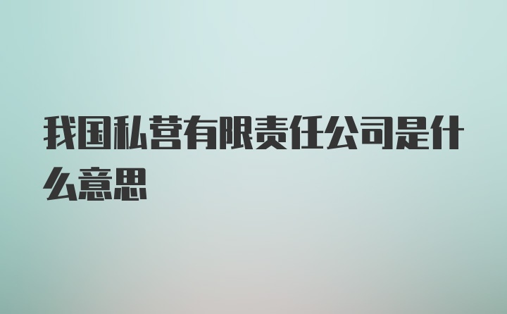 我国私营有限责任公司是什么意思