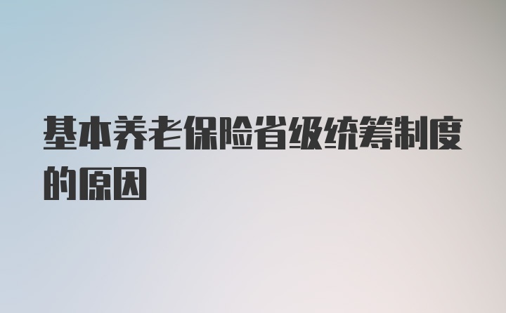 基本养老保险省级统筹制度的原因