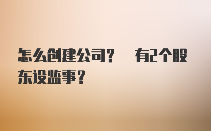 怎么创建公司? 有2个股东设监事?