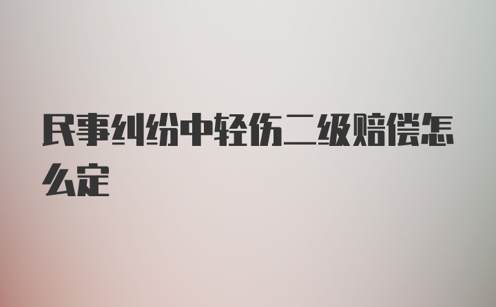 民事纠纷中轻伤二级赔偿怎么定