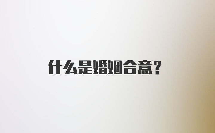 什么是婚姻合意?