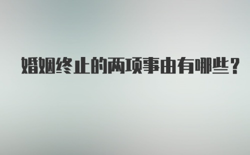 婚姻终止的两项事由有哪些?