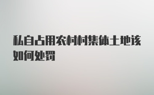 私自占用农村村集体土地该如何处罚