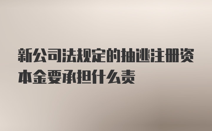 新公司法规定的抽逃注册资本金要承担什么责