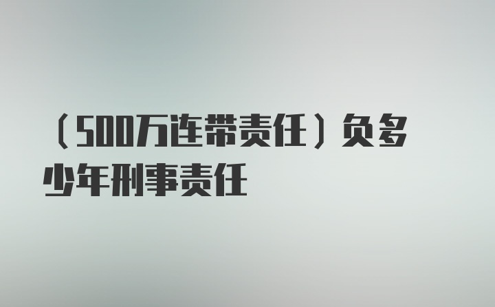 （500万连带责任）负多少年刑事责任