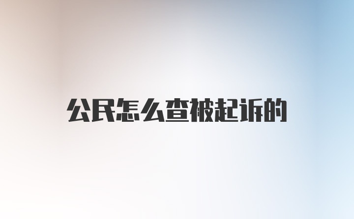 公民怎么查被起诉的