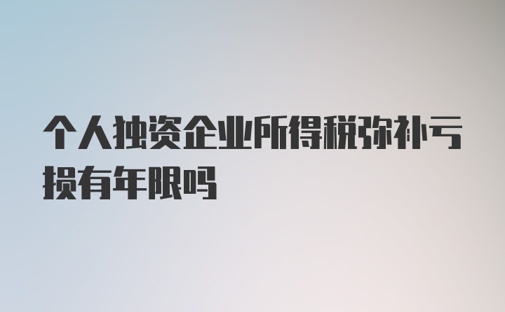 个人独资企业所得税弥补亏损有年限吗