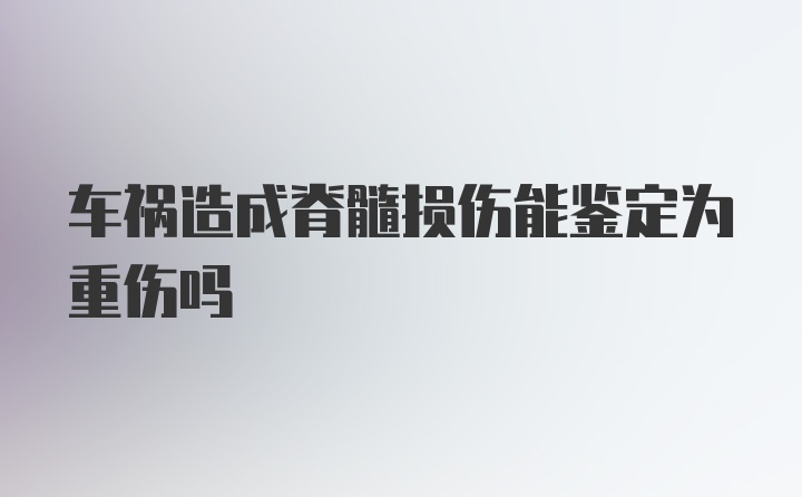 车祸造成脊髓损伤能鉴定为重伤吗