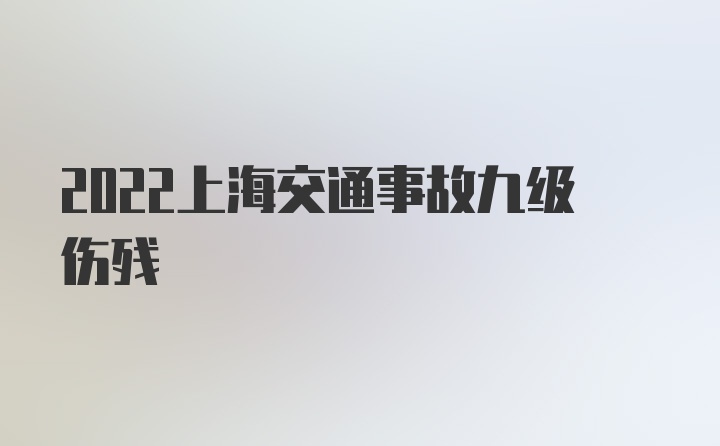 2022上海交通事故九级伤残