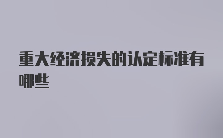 重大经济损失的认定标准有哪些