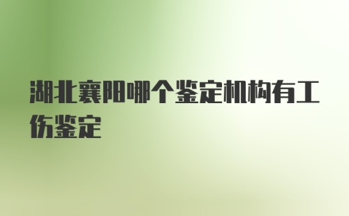 湖北襄阳哪个鉴定机构有工伤鉴定