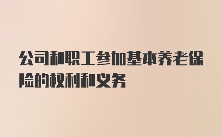 公司和职工参加基本养老保险的权利和义务