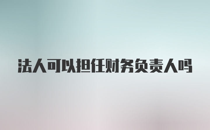 法人可以担任财务负责人吗