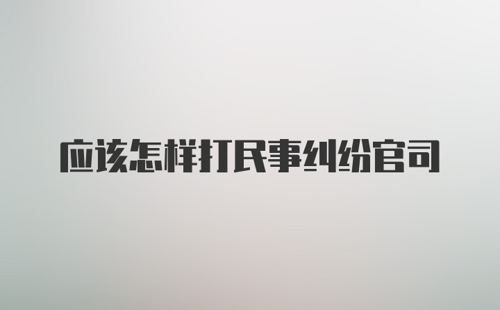 应该怎样打民事纠纷官司