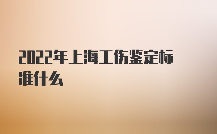 2022年上海工伤鉴定标准什么