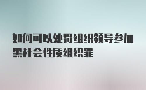 如何可以处罚组织领导参加黑社会性质组织罪