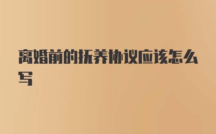 离婚前的抚养协议应该怎么写