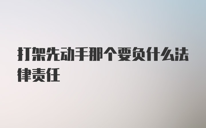 打架先动手那个要负什么法律责任