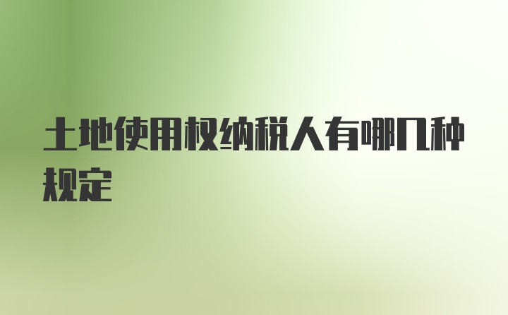 土地使用权纳税人有哪几种规定