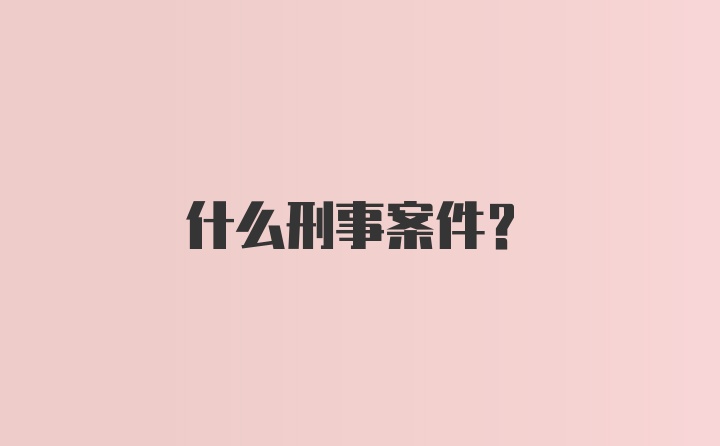 什么刑事案件？