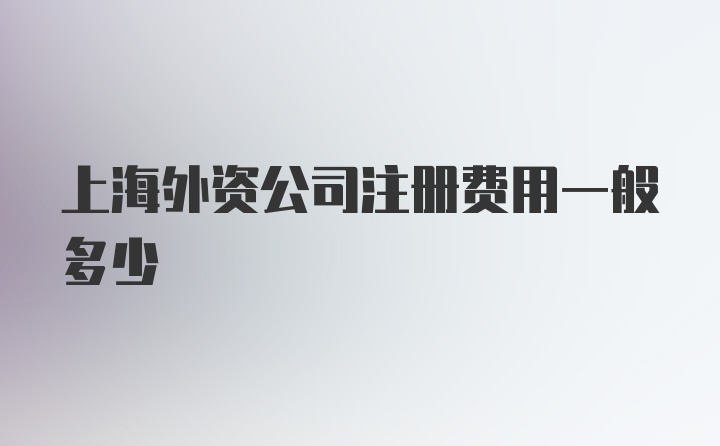 上海外资公司注册费用一般多少